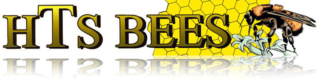 HTS Bees